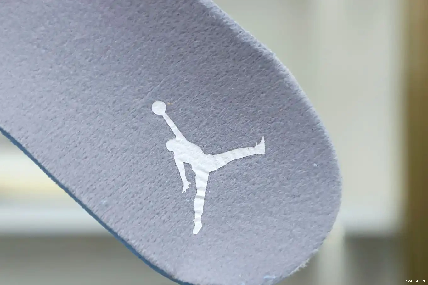 Jordan  Kimikick Jordan retro Air 12 0320